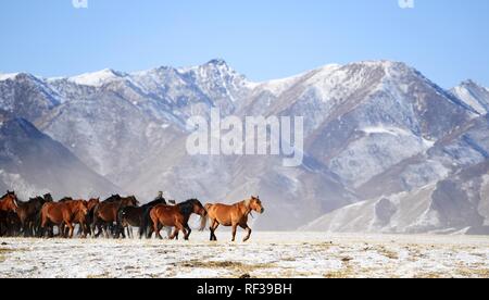 Shandan, China's Gansu Province. 23rd Jan, 2019. A herd of horses are seen at the snow-covered Shandan Ranch with the Qilian Mountains in the background in Shandan County of Zhangye City, northwest China's Gansu Province, Jan. 23, 2019. Credit: Chen Bin/Xinhua/Alamy Live News Stock Photo