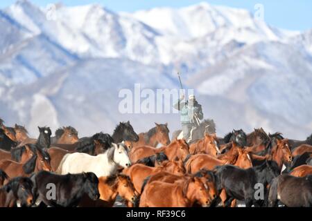 Shandan, China's Gansu Province. 23rd Jan, 2019. A herdsman keeps the herd together at the snow-covered Shandan Ranch with the Qilian Mountains in the background in Shandan County of Zhangye City, northwest China's Gansu Province, Jan. 23, 2019. Credit: Chen Bin/Xinhua/Alamy Live News Stock Photo