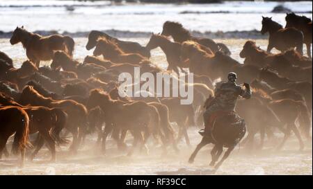 Shandan, China's Gansu Province. 23rd Jan, 2019. A herdsman keeps the herd together at the snow-covered Shandan Ranch in Shandan County of Zhangye City, northwest China's Gansu Province, Jan. 23, 2019. Credit: Chen Bin/Xinhua/Alamy Live News Stock Photo