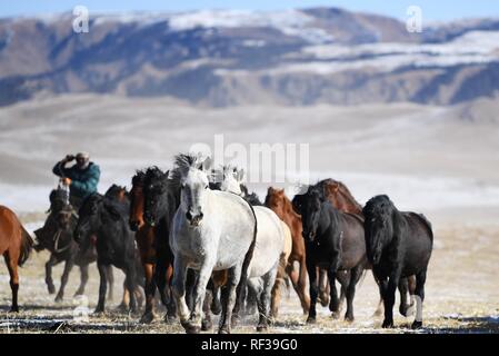 Shandan, China's Gansu Province. 23rd Jan, 2019. A herd of horses are seen galloping on the snow-covered grassland at the Shandan Ranch with the Qilian Mountains in the background in Shandan County of Zhangye City, northwest China's Gansu Province, Jan. 23, 2019. Credit: Li Xiao/Xinhua/Alamy Live News Stock Photo