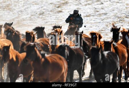 Shandan, China's Gansu Province. 23rd Jan, 2019. A herdsman keeps the herd together at the snow-covered Shandan Ranch in Shandan County of Zhangye City, northwest China's Gansu Province, Jan. 23, 2019. Credit: Li Xiao/Xinhua/Alamy Live News Stock Photo