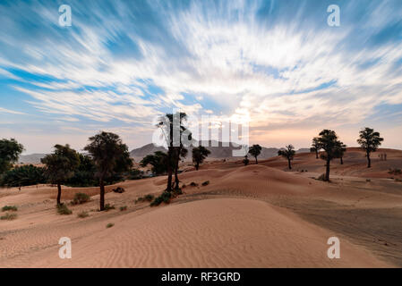 Beautiful Sunrise in Arabian Desert with Trees Stock Photo