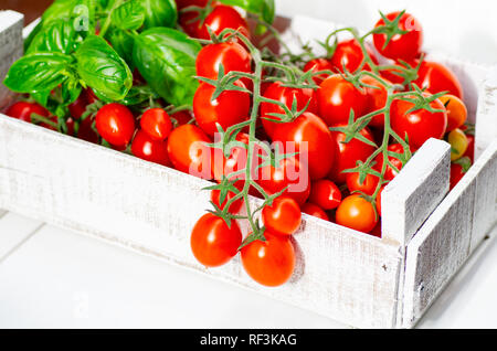 Picking tomatoes. Cherry tomatoes on a branch in a wooden box on a white background. Fresh basil leaves. Stock Photo