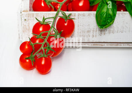 Picking tomatoes. Cherry tomatoes on a branch in a wooden box on a white background. Fresh basil leaves. Stock Photo