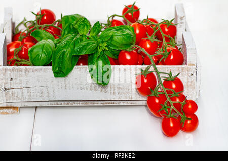 Picking tomatoes. Cherry tomatoes on a branch in a wooden box on a white background. Fresh basil leaves. Stock Photo