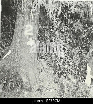 Field testing of Bacillus thuringiensis for control of western hemlock  looper. Hemlock looper Control; Bacillus thuringiensis.