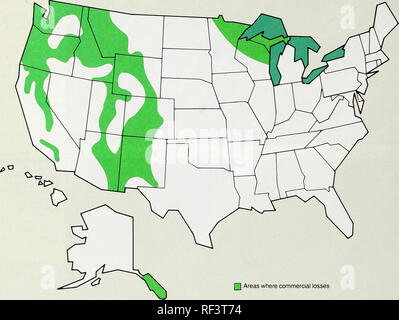 . Insect and disease conditions in the United States, 1979-83 : what else is growing in our forests?. Forest insects United States; Trees Diseases and pests United States; Plants Disease and pest resistance. Dwarf Mistletoes mm Figure 4. Geographic distribution of dwarf mistletoes causing losses in commercially important tree species.. L] Areas where commercial losses Resources Affected Timber. In Western North America, practically all members of the pine family—including the pines, true firs, spruces, Douglas- fir, larch, and hemlock—are parasitized. Commercially impor- tant principal hosts a Stock Photo