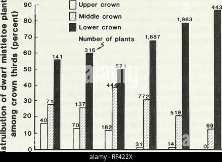 . Response of dwarf mistletoe-infested ponderosa pine to thinning. Arceuthobium Propagation; Ponderosa pine Diseases and pests; Ponderosa pine Thinning. (0. Q 1956 1960 1963 1968 1970 1974 Year Figure 6 —Distribution, among crown thirds, of the total dwarf mistletoe plants (7,440) growing on 54 young ponderosa pines between 1945 and 1974. Plant numbers are reported just pre- ceding stand release in 1956; when most latent dwarf mistle- toe plants had emerged after stand release in 1960; immedi- ately preceding accelerated leader elongation in 1963; when rapid leader growth had stabilized in 196 Stock Photo