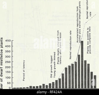 . Response of dwarf mistletoe-infested ponderosa pine to thinning. Arceuthobium Propagation; Ponderosa pine Diseases and pests; Ponderosa pine Thinning. o. £ 1945 47 49 51 53 55 57 59 61 63 65 67 69 3 z Year of origin of supporting branch segment Figure 2—Dwarf mistletoe population trends of 54 small, pole-size ponderosa pines: 14 dominants, 14 codominants, and 26 intermediates. Columns represent number of dwarf mistletoe plants originating on each successive year's shoots. Lines represent ascent rate variations of population develop- ment. Projection of bars preceding 1957 above line is an an Stock Photo