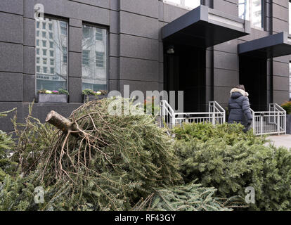 Curbside Christmas tree disposal, NYC Stock Photo