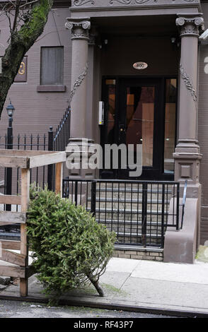 Curbside Christmas tree disposal, NYC Stock Photo