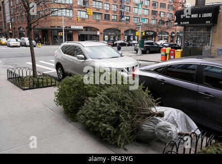 Curbside Christmas tree disposal, NYC Stock Photo
