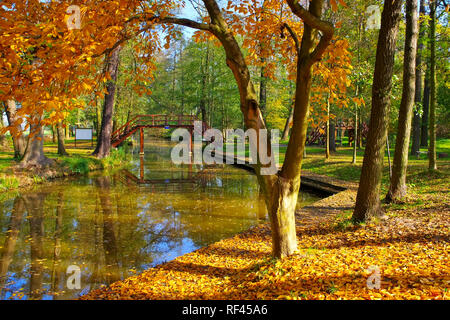 Spree Forest harbour in Raddusch in fall Stock Photo