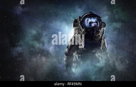 Astronaut ferret wearing space suit against starry sky. Mixed media Stock Photo