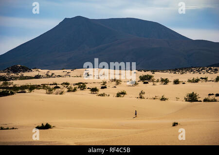 A person crossing Corralejo Natural Park on Fuerteventura, Canary Islands Stock Photo