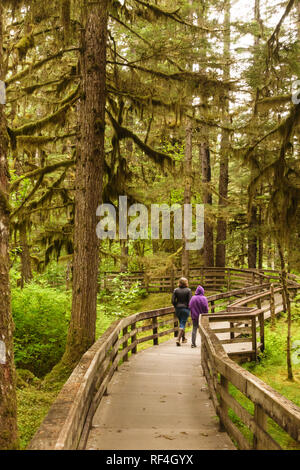 America Bay walking trail track at West Head in Ku-ring-gai chase ...