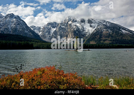 WY02915-00...WYOMING - Tree on small island in the middle of Leigh Lake at the base of Mount Moran in Grand Teton National Park. Stock Photo