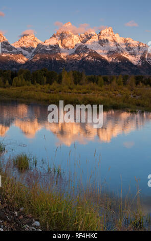 WY02927-00...WYOMING - Sunlight touching the Tetons in the early morning viewed from Schwabacher Landing on the Snake River in Grand Teton National Pa Stock Photo