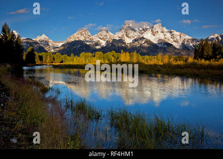 WY02930-00...WYOMING - The Tetons reflecting in the Snake River in the early morning hours at Schwabacher Landing in Grand Teton National Park. Stock Photo