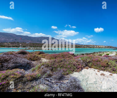 Panorama of beautiful Crete coastline. White sand beach with blooming pink flowers. Unrecognizable people are enjoying the waters of turquoise colored Stock Photo