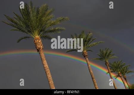 A rainbow appears in Phoenix, Arizona after a rain storm. Stock Photo