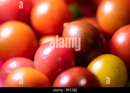 Several different cherry tomatoes in various colors. Stock Photo