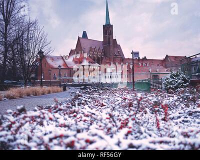 View of Ostrow Tumski and Saint Bartholomew Church in Winter with Snow on the Ground and Blurred Foreground of Red Berries Covered in Snow Stock Photo