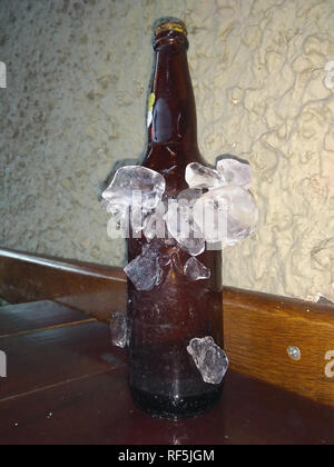 Beer bottles chilled in ice. The icy bottle of beer on wall background. Stock Photo
