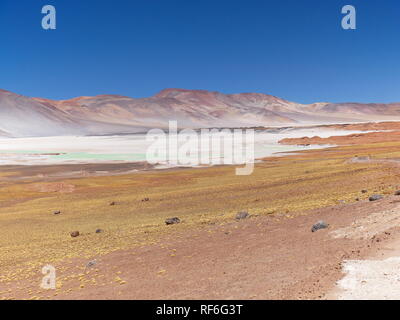 Laguna Piedras Rojas in the Chilean Andes. The desert of Atacama in the north of Chile is the driest region on earth. Stock Photo
