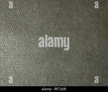 Black snake skin close up. Background. Texture. Close up shot Stock Photo