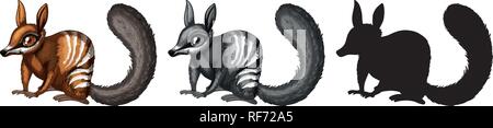 Set of numbat character illustration Stock Vector