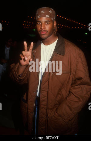 CENTURY CITY, CA - NOVEMBER 1: Actor Shawn Wayans attends Columbia Pictures' 'My Life' Premiere on November 1, 1993 at Cineplex Odeon Century Plaza Cinemas in Century City, California. Photo by Barry King/Alamy Stock Photo Stock Photo