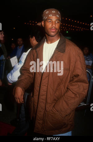 CENTURY CITY, CA - NOVEMBER 1: Actor Shawn Wayans attends Columbia Pictures' 'My Life' Premiere on November 1, 1993 at Cineplex Odeon Century Plaza Cinemas in Century City, California. Photo by Barry King/Alamy Stock Photo Stock Photo