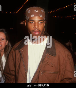 CENTURY CITY, CA - NOVEMBER 1: Actor Shawn Wayans attends Columbia Pictures' 'My Life' Premiere on November 1, 1993 at Cineplex Odeon Century Plaza Cinemas in Century City, California. Photo by Barry King/Alamy Stock Photo Stock Photo