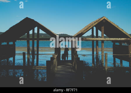 rear view of a woman and her dog exploring a stilt house by Viverone lake side in Biella, Italy Stock Photo
