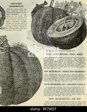 . Spring catalogue : 1900. Nurseries (Horticulture) Missouri Saint Louis Catalogs; Bulbs (Plants) Catalogs; Flowers Catalogs; Vegetables Seeds Catalogs; Plants, Ornamental Catalogs; Shrubs Catalogs; Fruit Catalogs. NEWPORT MUSKMELON This is a very early va- riety, ripening with the Jenny Lind, which it some- what resembles. It cer- tainly is, we think, the most delicious Muskmelon in the market, and also the most bounteous yielder, though the melons are not large. For family use it has no equal, when quality is the consideration (see cut). Per pkt., 10c; oz., 20c.. Mnskmelon—Newport Muskmelon— Stock Photo