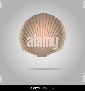 Scallop Seashell Vector. Scallops Shell Isolated On gray Background 10 eps Stock Vector