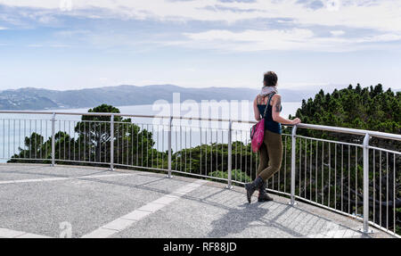 Views of New Zealand's capital city Wellington from Mt Victoria lookout, on a warm autumn day. Stock Photo