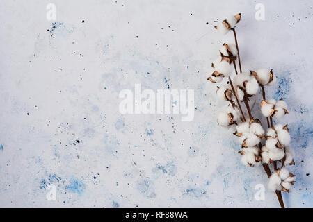 Flat lay of abstract white and blue background with branch of artificial cotton flower. Can be greeting card and design element. Top view, copy space  Stock Photo