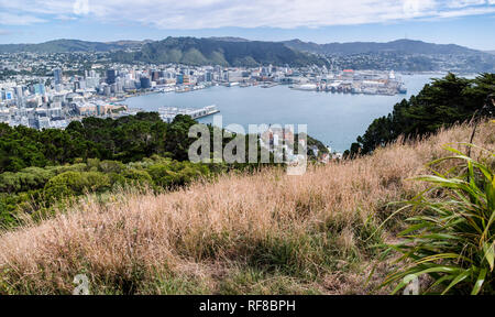 City skyline of New Zealand's capital city Wellington from Mt Victoria lookout, on a warm autumn day Stock Photo