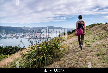 Views of New Zealand's capital city Wellington from Mt Victoria lookout, on a warm autumn day. Stock Photo