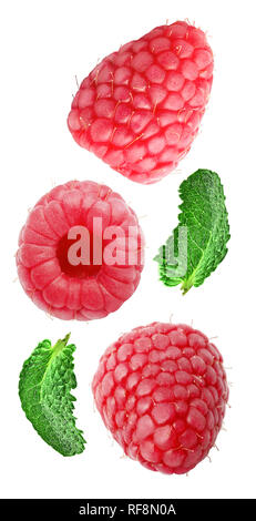 Flying fresh raspberry and mint leaves isolated on white background with clipping path as package design element and advertising. Full depth of field. Stock Photo