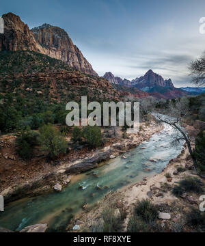 The north fork of the Virgin River cuts through Zion Canyon, Zion National Park, Utah, USA. Stock Photo