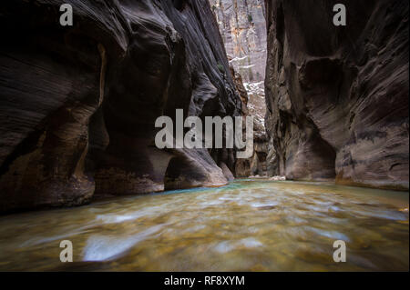 Hiking Zion National Park's famous slot canyon, The Narrows, in winter requires a dry suit and warm clothes, but it's less crowded than in  summer Stock Photo