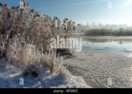 Cold frosty winter day over a tranquil lake with reflections and morning mist in a weather and seasons concept Stock Photo