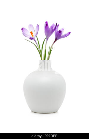 Crocus flowers in white vase, isolated on white Stock Photo