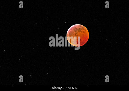 Wolf Blood Moon Stock Photo