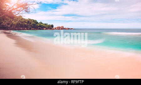 Palm and tropical sea beach, vacations  holiday or travel concept  background Stock Photo