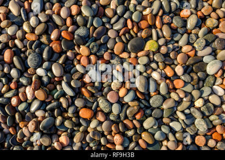 Coloured pebbles on a Scottish beach, illuminated by the setting sun Stock Photo