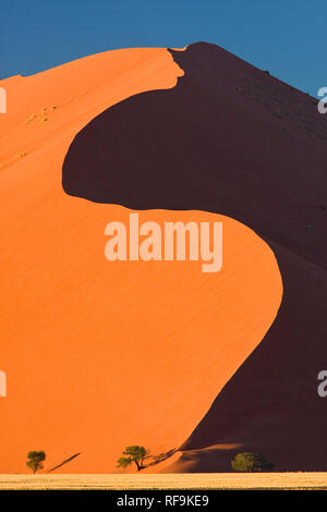 Sand dunes at Soussusvlei,  Namib-Naukluft National Park, Namibia, Africa Stock Photo